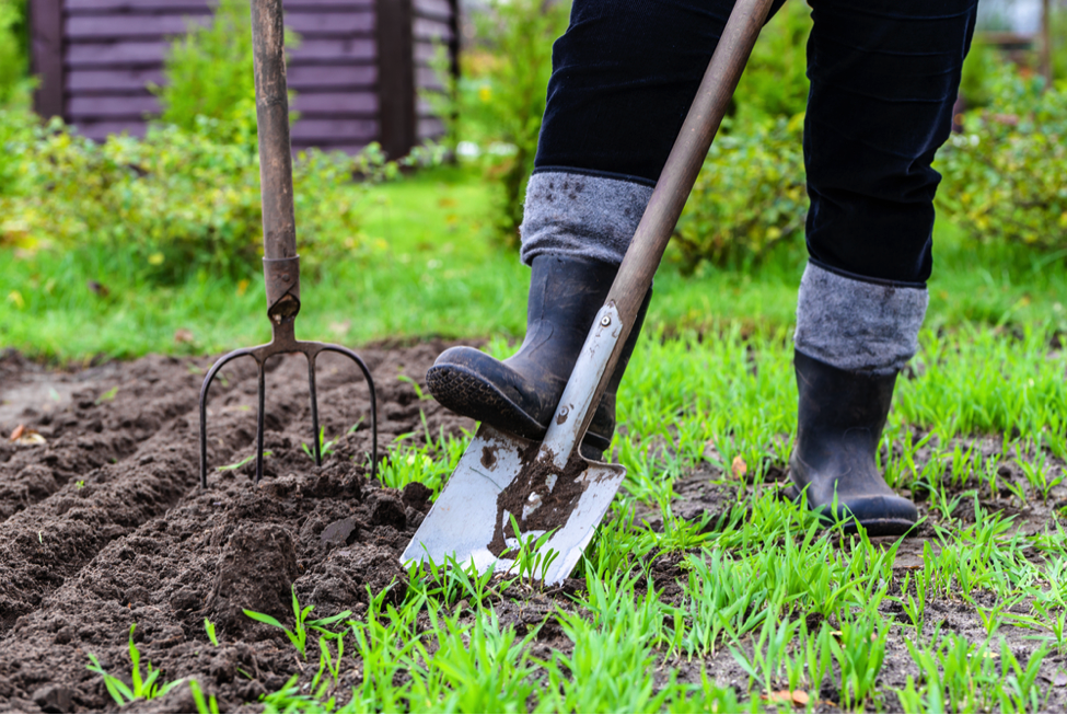 Why Gardening Is Good For Your Health (and other benefits...)